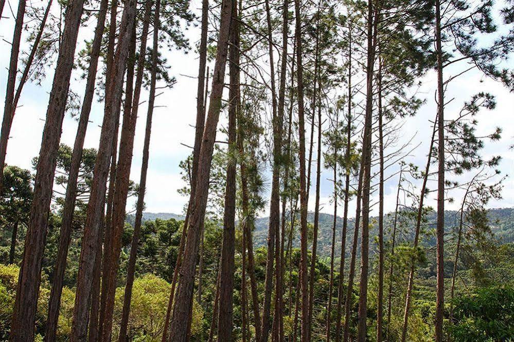 Pousada Campos Verde Campos do Jordão Esterno foto